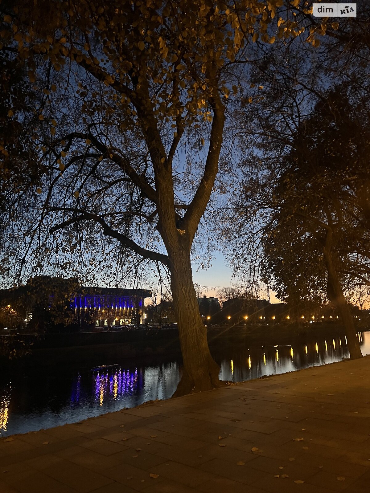 двухкомнатная квартира в Ужгороде, район Центр, на пл. Жупанатская 1 в аренду на долгий срок помесячно фото 1