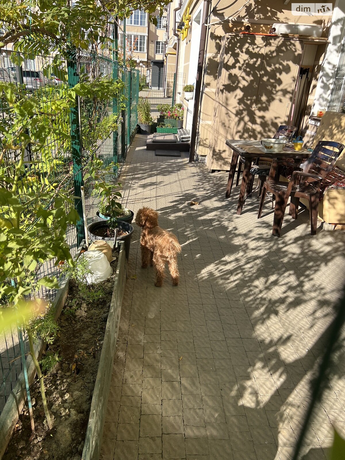 двокімнатна квартира в Ужгороді, на вул. Володимирська 90 в довготривалу оренду помісячно фото 1 двокімнатна квартира в Ужгороді, на вул. Володимирська 90 в довготривалу оренду помісячно фото 1