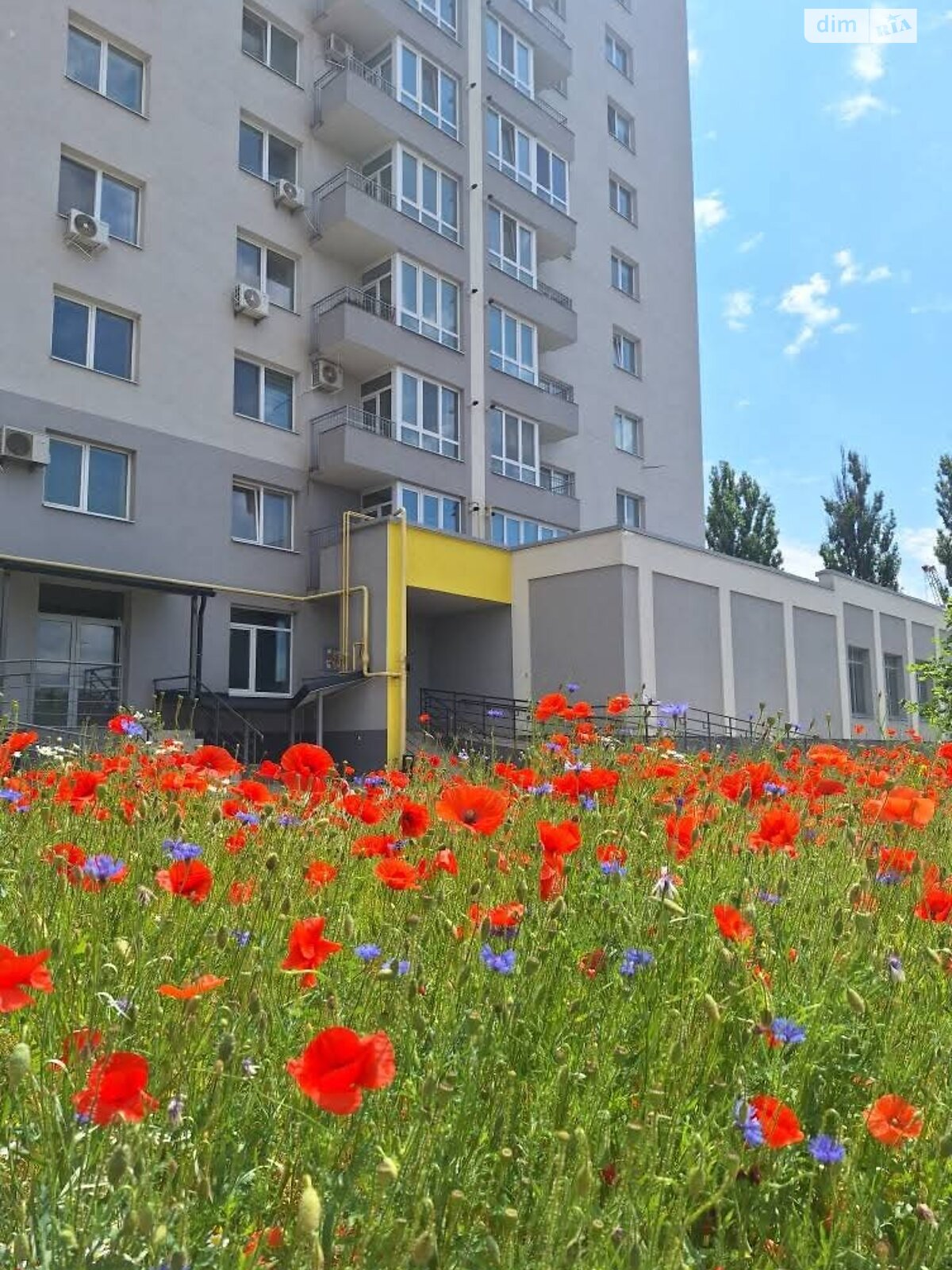 однокімнатна квартира в Вінниці, район Ближнє замостя, на вул. Академіка Янгеля в довготривалу оренду помісячно фото 1 однокімнатна квартира в Вінниці, район Ближнє замостя, на вул. Академіка Янгеля в довготривалу оренду помісячно фото 1