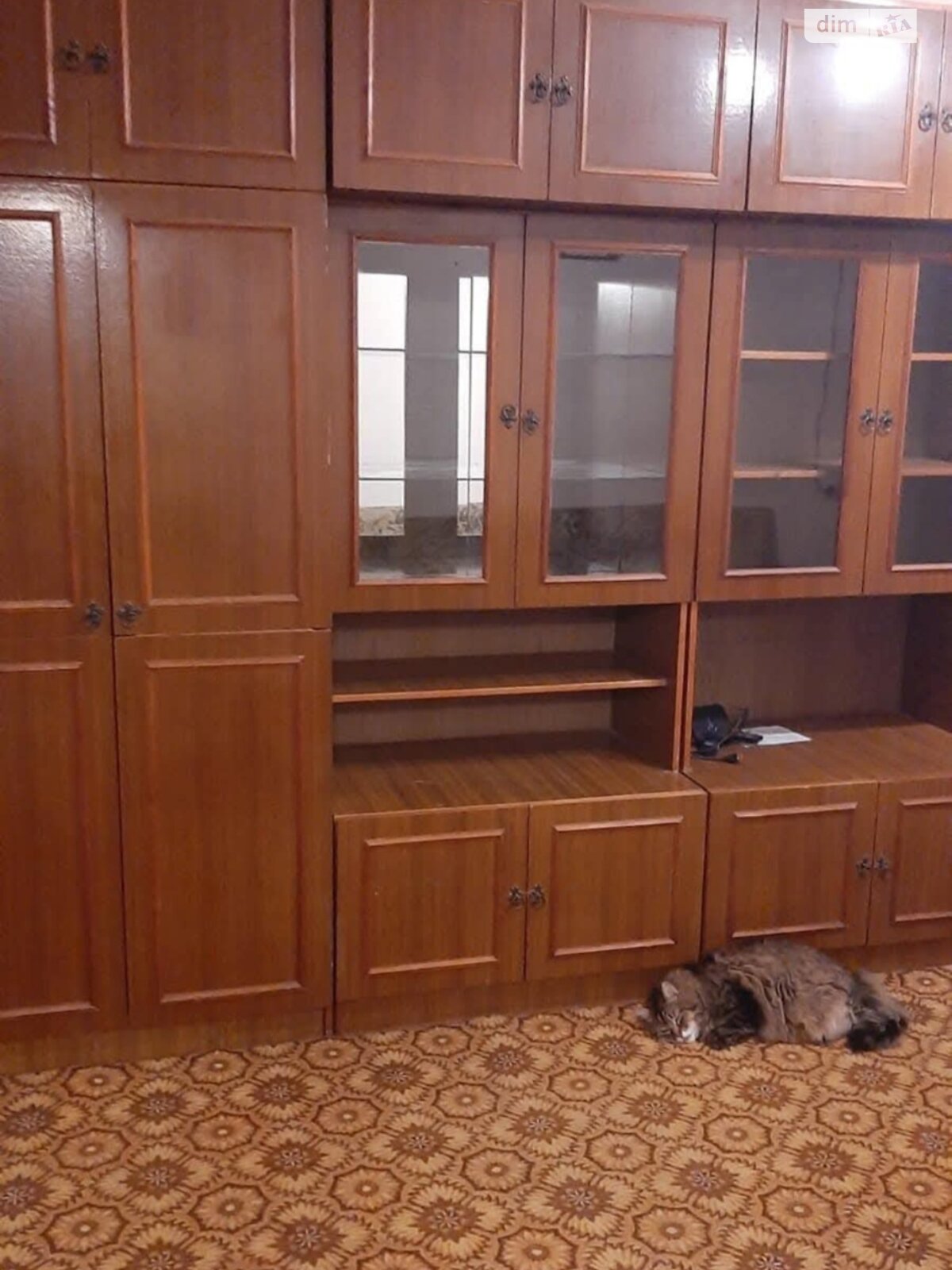 однокомнатная квартира в Виннице, район Ближнее замостье, на ул. Защитников неба в аренду на долгий срок помесячно фото 1 однокомнатная квартира в Виннице, район Ближнее замостье, на ул. Защитников неба в аренду на долгий срок помесячно фото 1