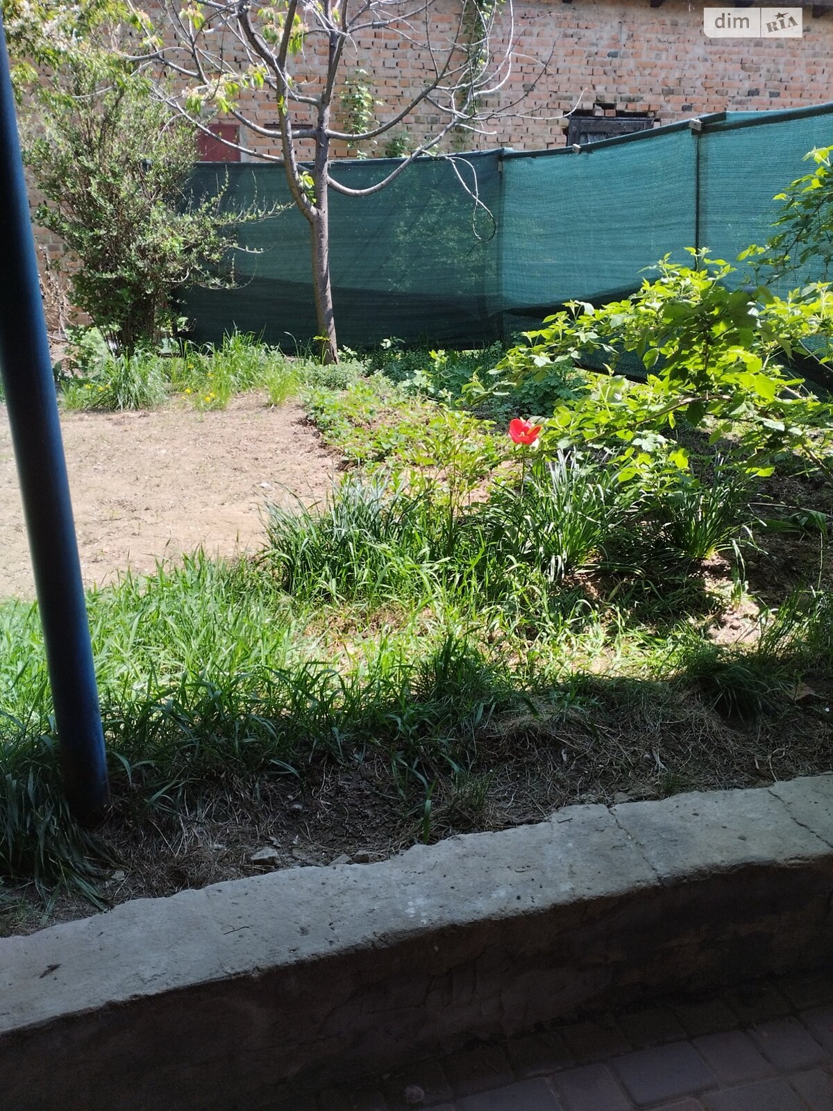 однокомнатная квартира в Виннице, район Старый город, на ул. Данила Нечая 59 в аренду на долгий срок помесячно фото 1