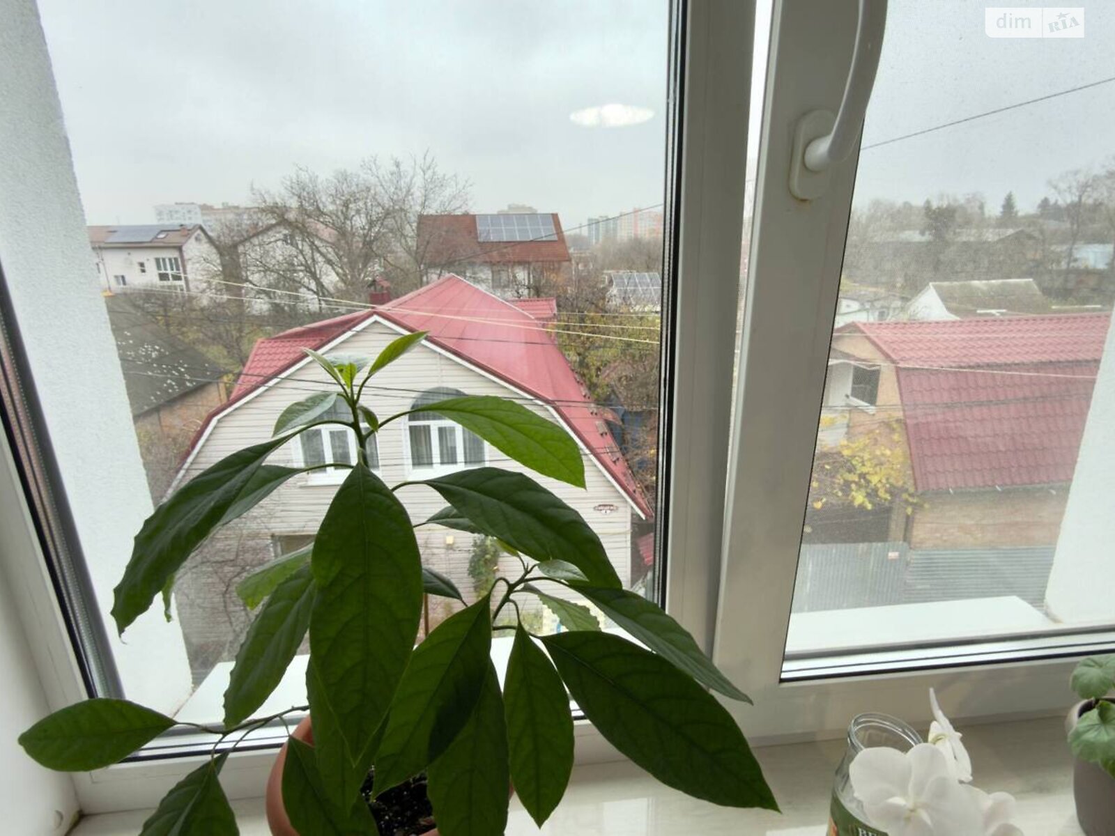 двухкомнатная квартира в Виннице, район Киевская, на 1-й пер. Киевский в аренду на долгий срок помесячно фото 1 двухкомнатная квартира в Виннице, район Киевская, на 1-й пер. Киевский в аренду на долгий срок помесячно фото 1