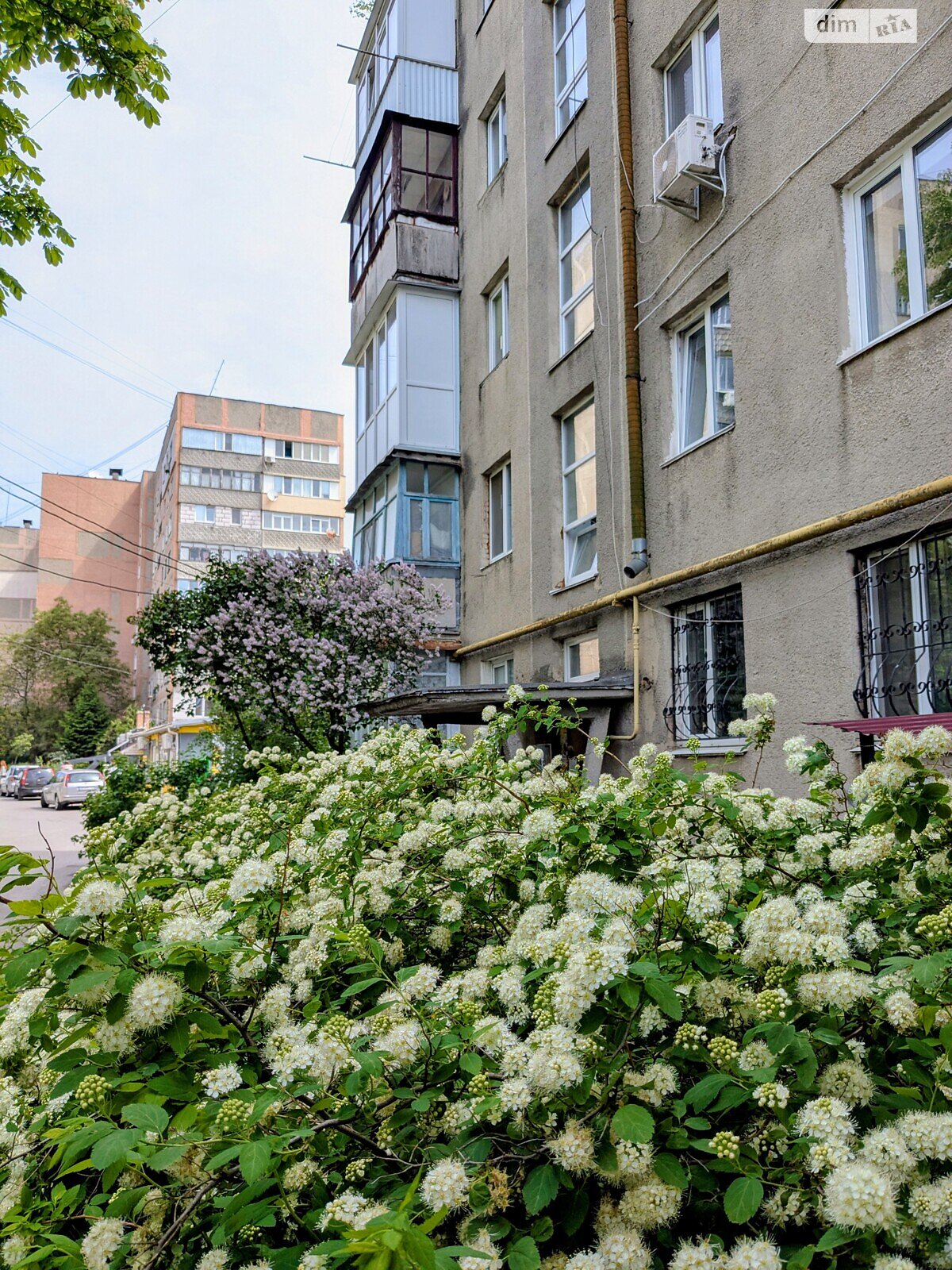 двокімнатна квартира в Вінниці, район Урожай, на вул. Князів Коріатовичів в довготривалу оренду помісячно фото 1 двокімнатна квартира в Вінниці, район Урожай, на вул. Князів Коріатовичів в довготривалу оренду помісячно фото 1