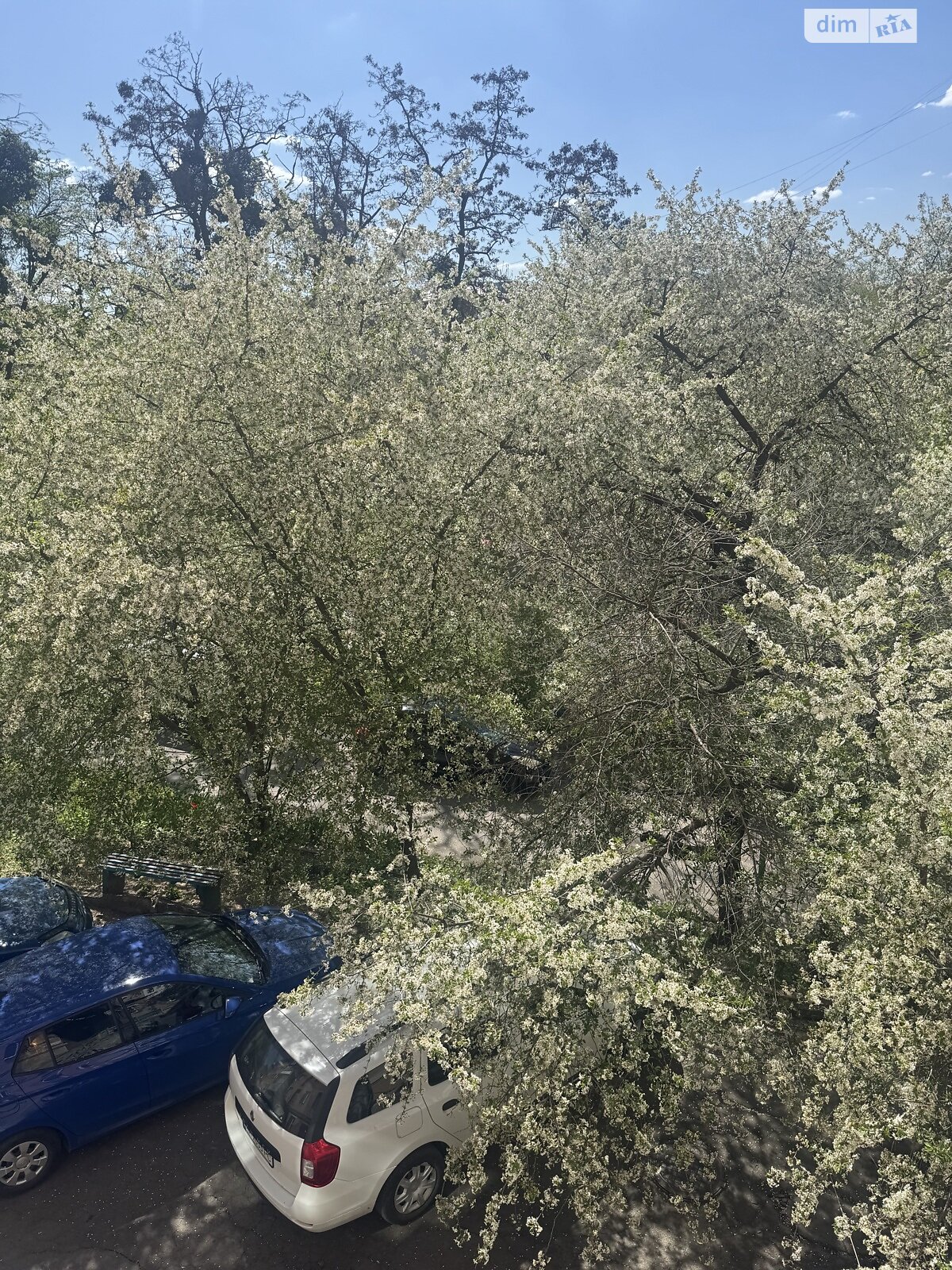 двокімнатна квартира в Вінниці, район Центр, на вул. Соборна 97 в довготривалу оренду помісячно фото 1 двокімнатна квартира в Вінниці, район Центр, на вул. Соборна 97 в довготривалу оренду помісячно фото 1