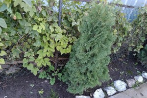 однокомнатная квартира в Виннице, район Замостянский, на ул. Железнодорожная в аренду на долгий срок помесячно фото 2 однокомнатная квартира в Виннице, район Замостянский, на ул. Железнодорожная в аренду на долгий срок помесячно фото 2