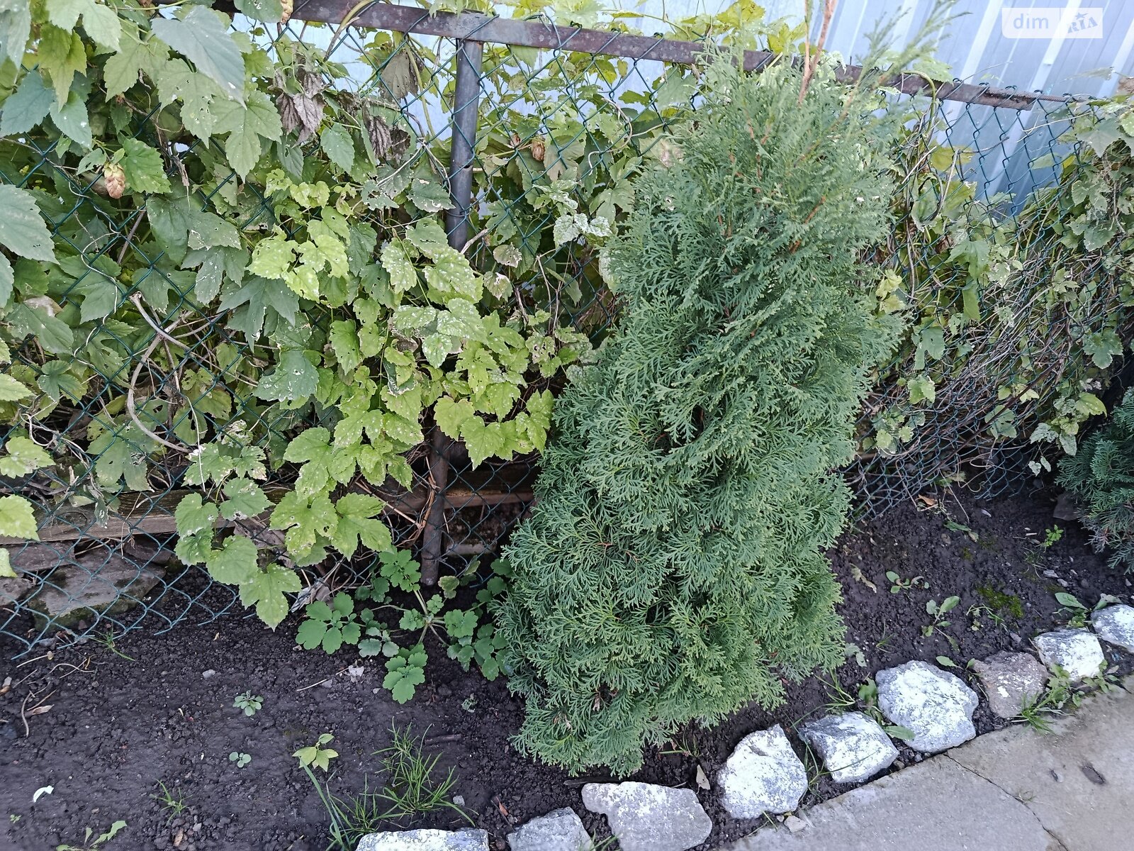 однокомнатная квартира в Виннице, район Замостянский, на ул. Железнодорожная в аренду на долгий срок помесячно фото 1 однокомнатная квартира в Виннице, район Замостянский, на ул. Железнодорожная в аренду на долгий срок помесячно фото 1