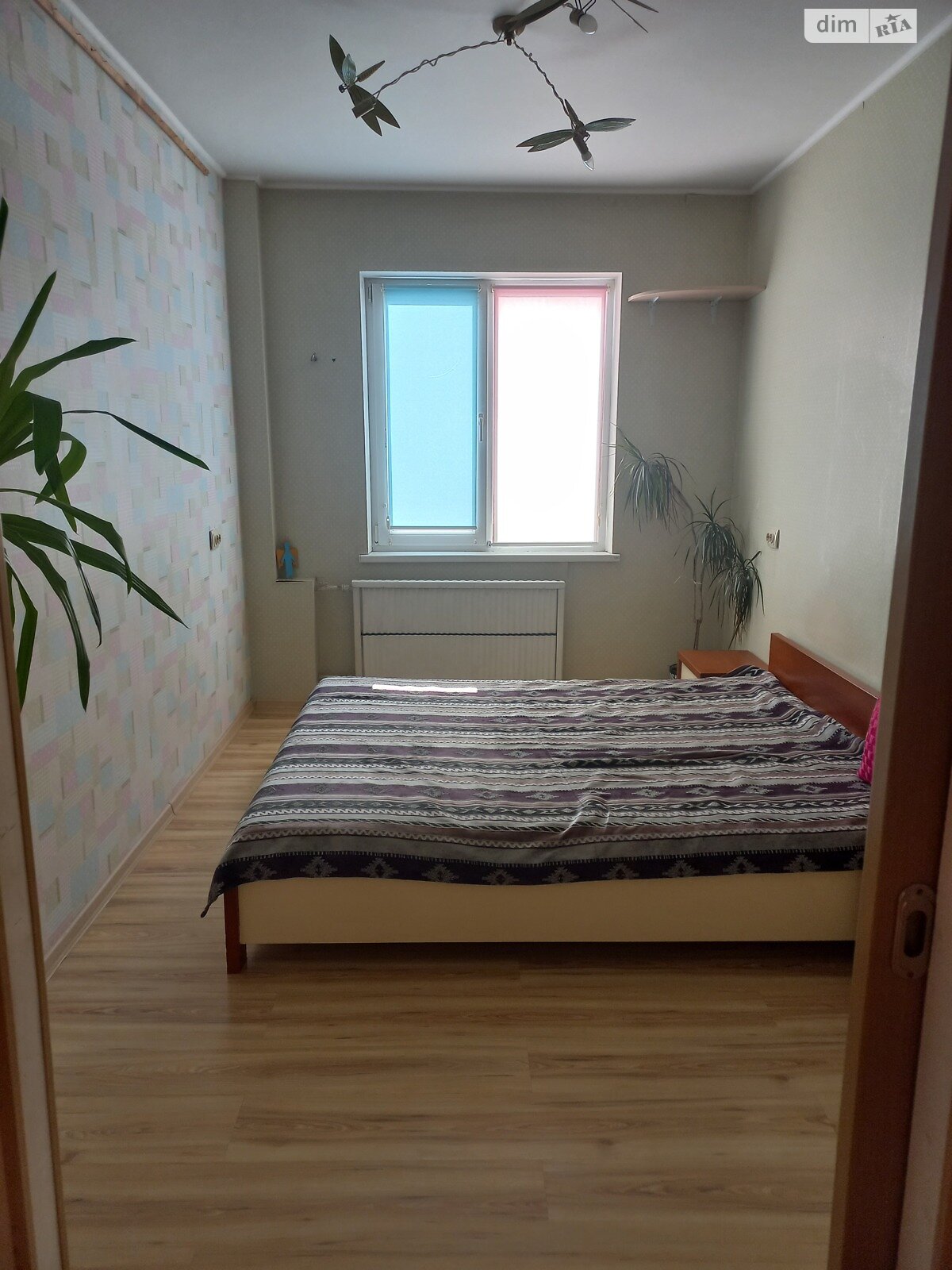 двухкомнатная квартира в Вишневом, на ул. Южная 11, кв. 50 в аренду на долгий срок помесячно фото 1 двухкомнатная квартира в Вишневом, на ул. Южная 11, кв. 50 в аренду на долгий срок помесячно фото 1
