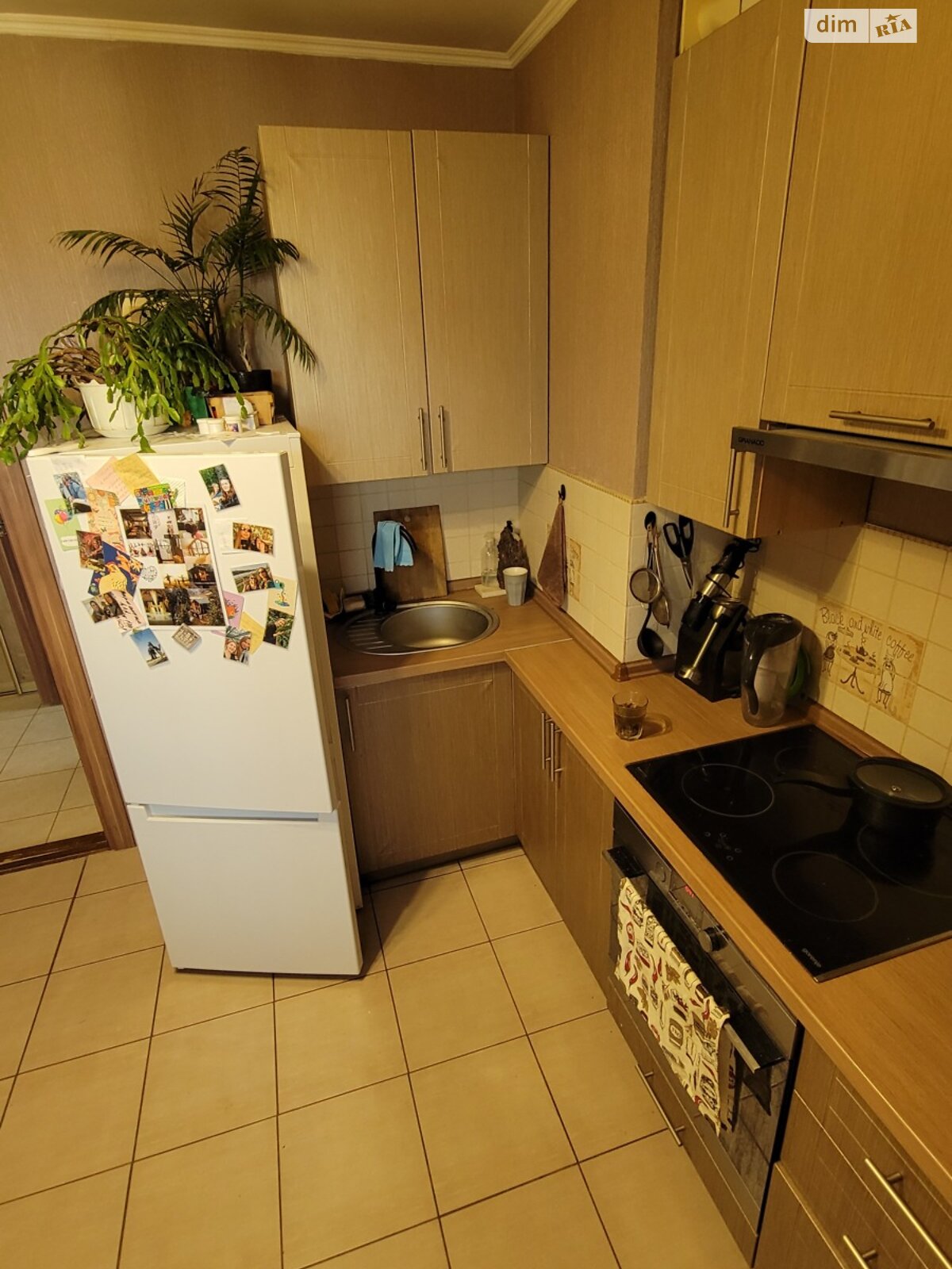 однокімнатна квартира в Вишгороді, район Вишгород, на вул. Кургузова 1А корпус 1 в довготривалу оренду помісячно фото 1