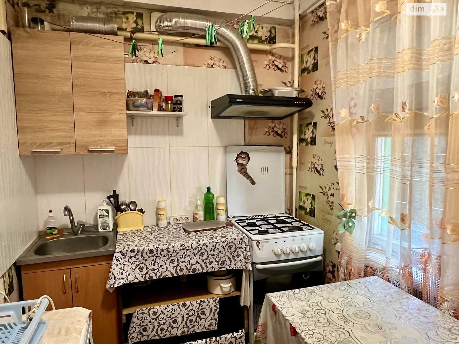 однокомнатная квартира в Запорожье, район Коммунарский, на ул. Космическая в аренду на долгий срок помесячно фото 1 однокомнатная квартира в Запорожье, район Коммунарский, на ул. Космическая в аренду на долгий срок помесячно фото 1