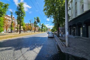 Оренда офісного приміщення в Дніпрі, Яворницького Дмитра проспект, приміщень - 6, поверх - 2 фото 2