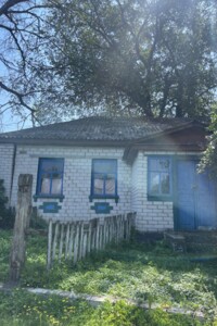 Оренда офісного приміщення в Іржавці, вулиця Центральна, приміщень - 6 фото 2 Оренда офісного приміщення в Іржавці, вулиця Центральна, приміщень - 6 фото 2