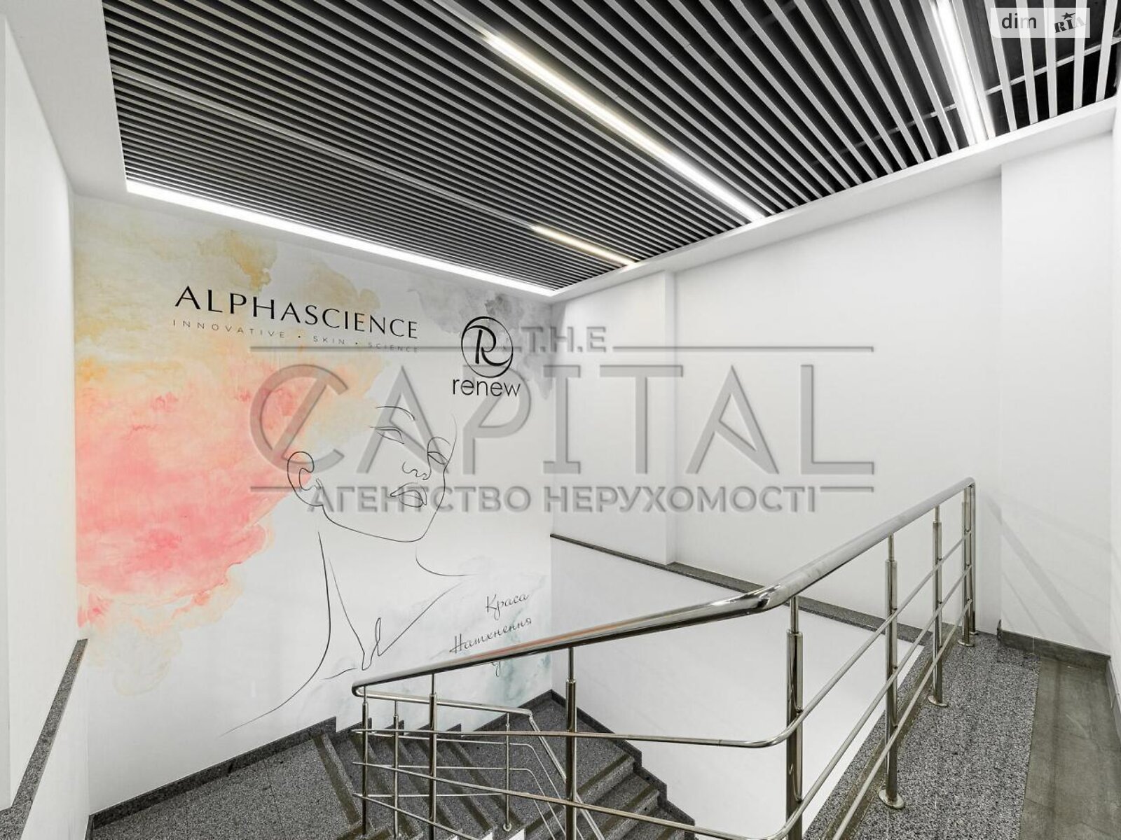 Аренда офисного помещения в Киеве, Антоновича (Горького) улица 131, помещений - 5, этаж - 2 фото 1 Аренда офисного помещения в Киеве, Антоновича (Горького) улица 131, помещений - 5, этаж - 2 фото 1
