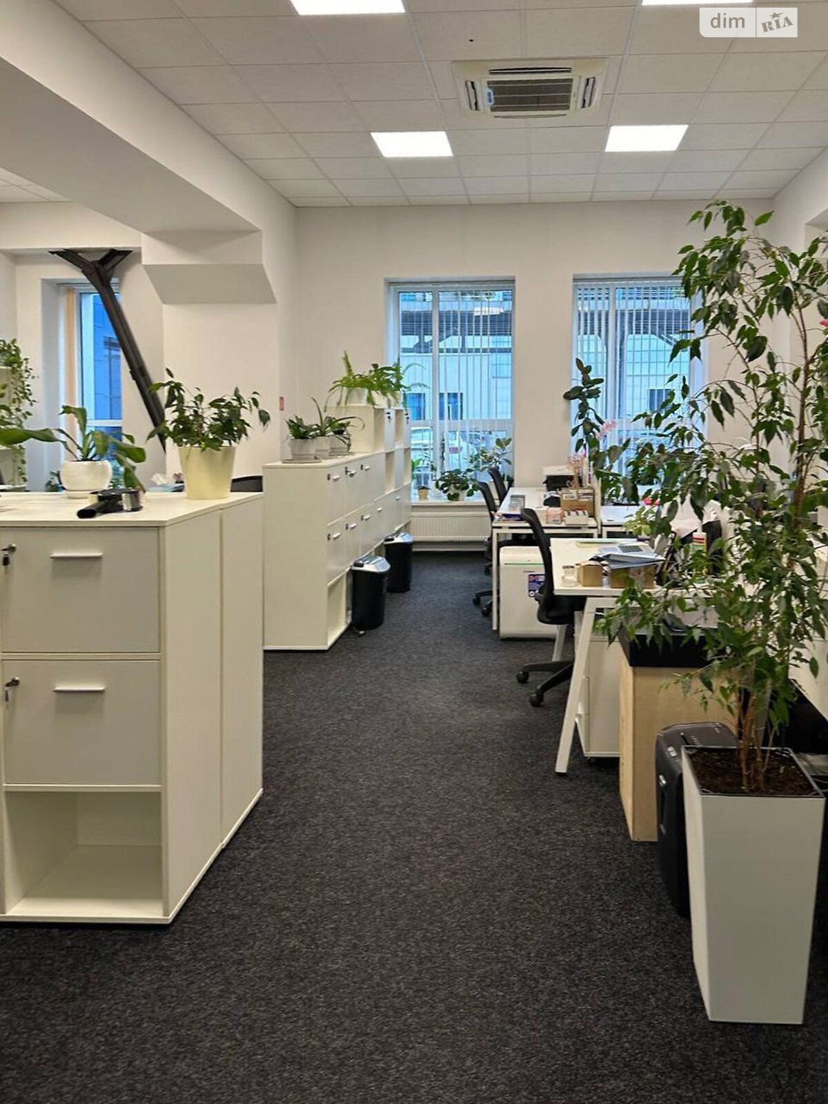 Аренда офисного помещения в Киеве, Охтырский переулок 7, помещений - 22, этаж - 1 фото 1
