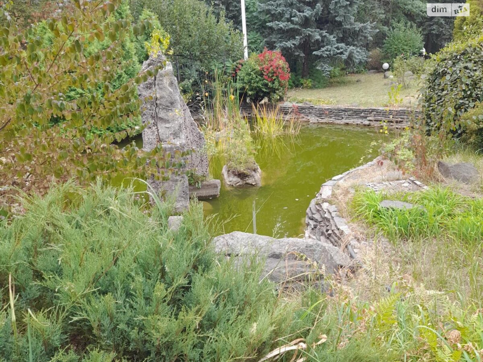 Аренда офисного помещения в Киеве, Леся Курбаса (50-летия Октября) проспект 2Г, помещений - 1, этаж - 1 фото 1