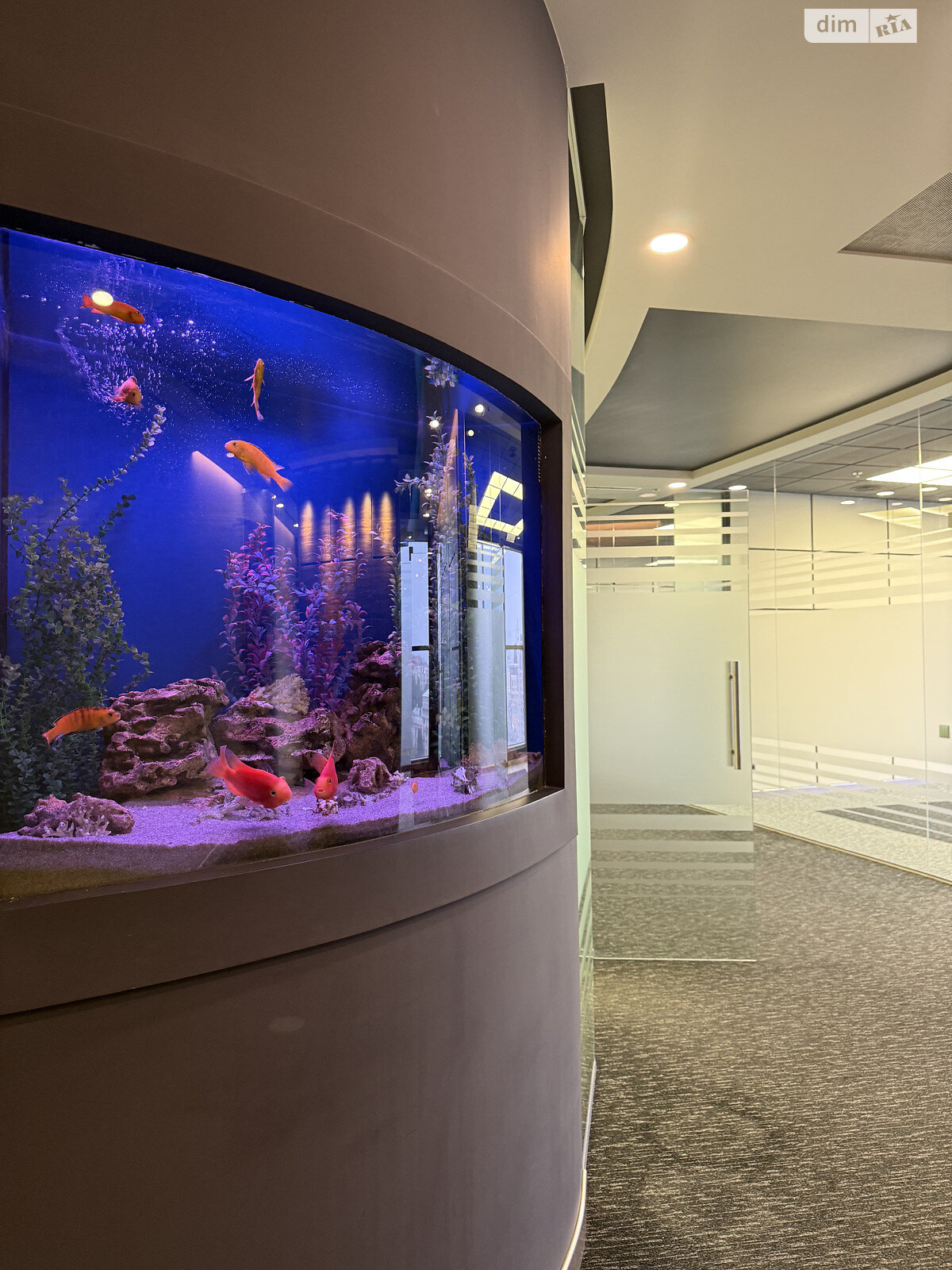 Аренда офисного помещения в Киеве, Мечникова улица 2, помещений - 8, этаж - 19 фото 1