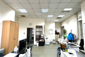 Оренда офісного приміщення в Києві, Миколи Міхновського (Дружби Народів) бульвар, приміщень - 1, поверх - 2 фото 2