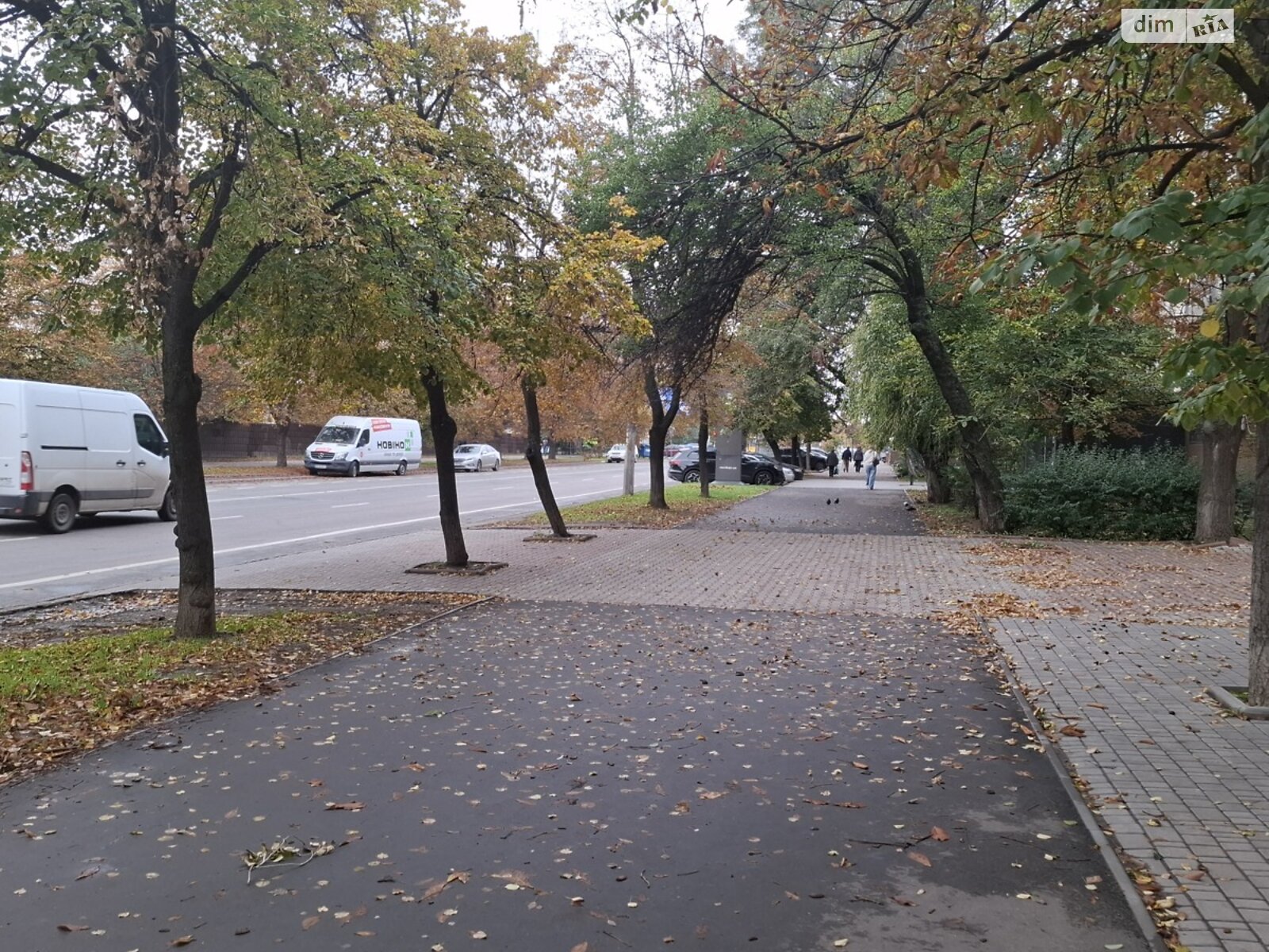 Оренда офісного приміщення в Одесі, Академіка Заболотного вулиця 28, приміщень - 4, поверх - 1 фото 1