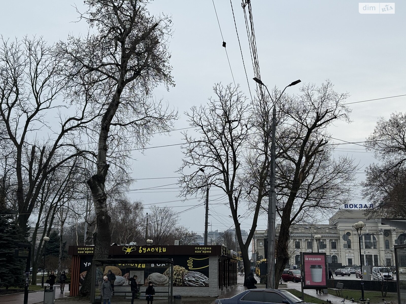 Оренда офісного приміщення в Одесі, Пантелеймонівська вулиця, приміщень -, поверх - 1 фото 1