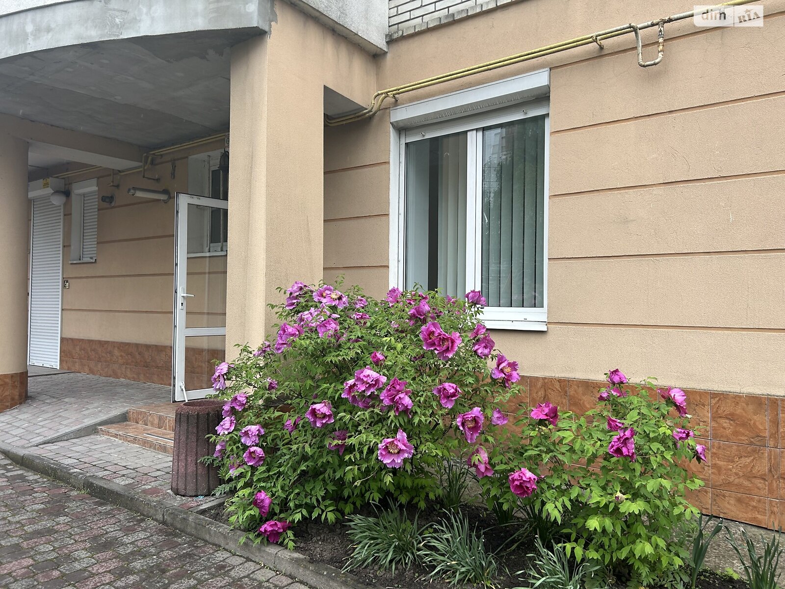 Аренда офисного помещения в Тернополе, Евгения Коновальца улица, помещений - 3, этаж - 1 фото 1 Аренда офисного помещения в Тернополе, Евгения Коновальца улица, помещений - 3, этаж - 1 фото 1