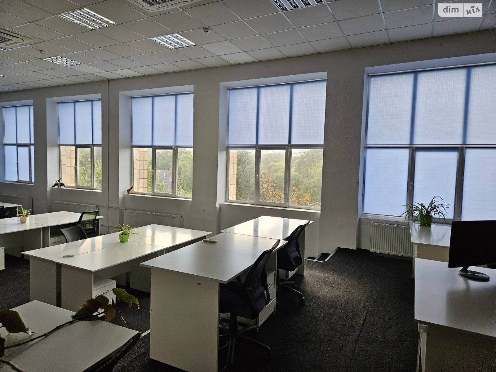 Оренда офісного приміщення в Тернополі, Торговиця (Живова Анатолія) вулиця, приміщень -, поверх - 4 фото 1