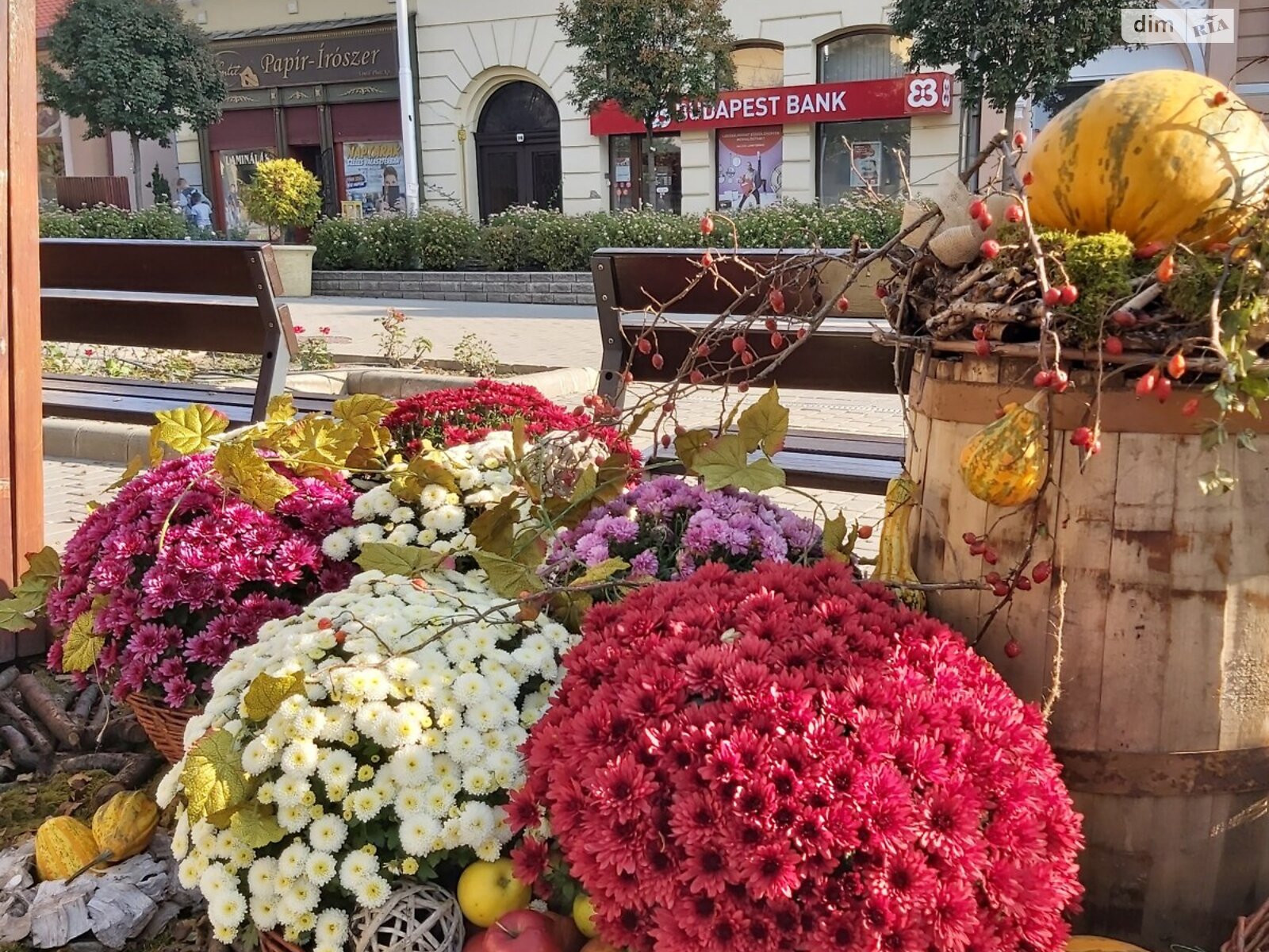 Аренда офисного помещения в Ужгороде, Собранецкая улица, помещений - 1, этаж - 1 фото 1