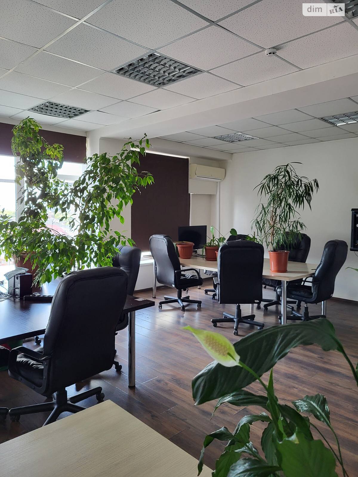 Аренда офисного помещения в Ужгороде, Петефи Шандора площадь 47, помещений - 1, этаж - 7 фото 1