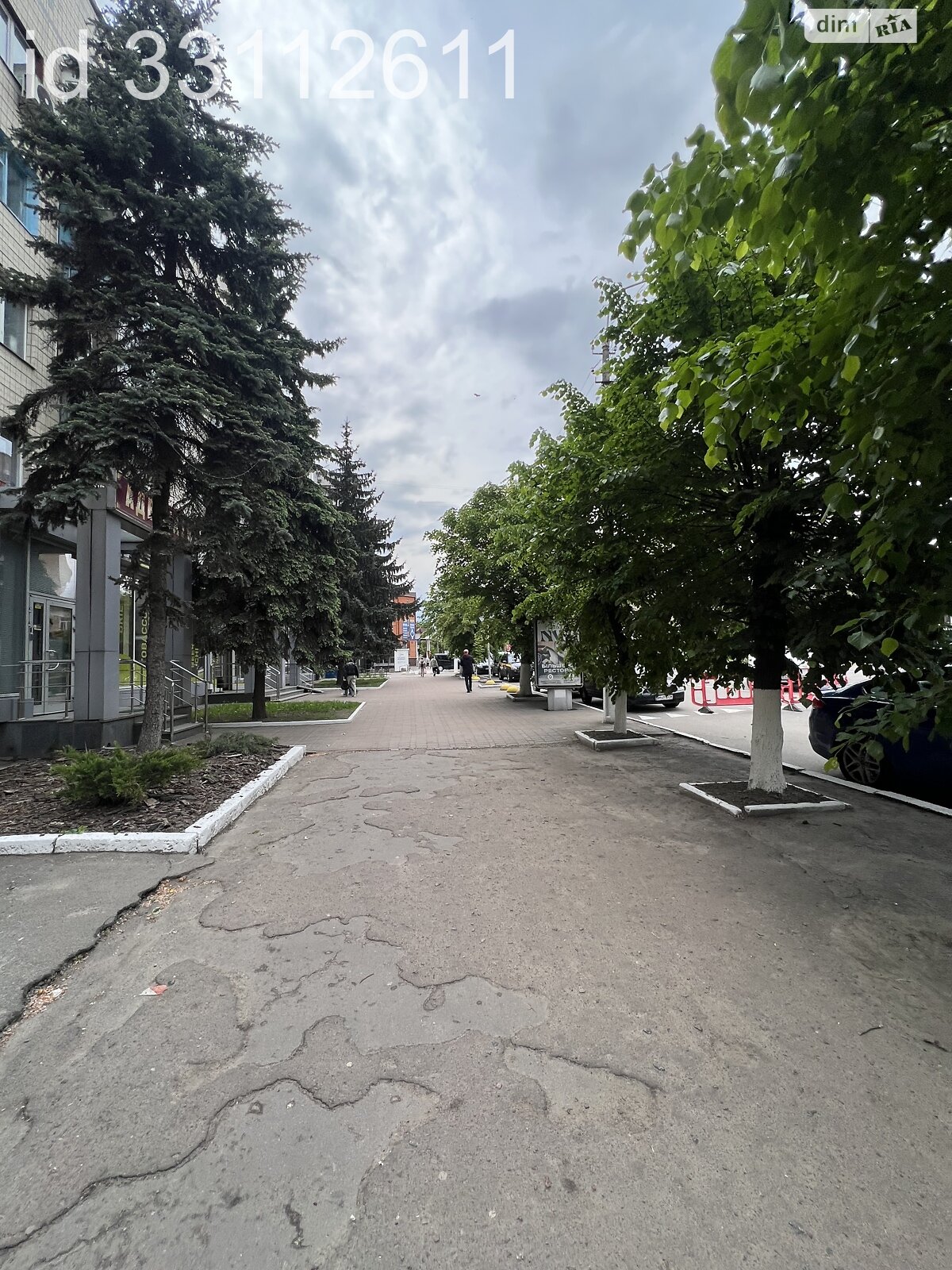 Аренда офисного помещения в Василькове, Михаила Грушевского улица, помещений - 1, этаж - 1 фото 1 Аренда офисного помещения в Василькове, Михаила Грушевского улица, помещений - 1, этаж - 1 фото 1