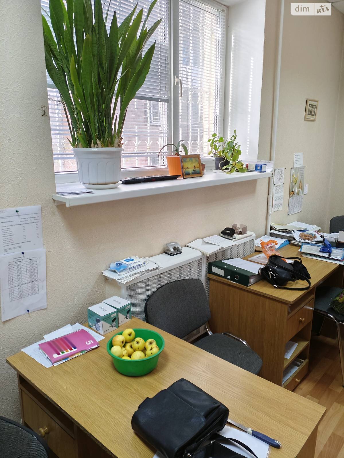 Аренда офисного помещения в Виннице, Пирогова улица, помещений - 2, этаж - 1 фото 1 Аренда офисного помещения в Виннице, Пирогова улица, помещений - 2, этаж - 1 фото 1