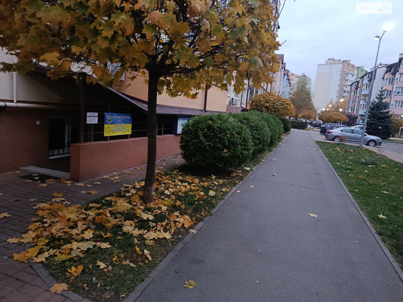 Аренда офисного помещения в Вишневом, Молодёжная (Пионерская) улица 16А, помещений - фото 1