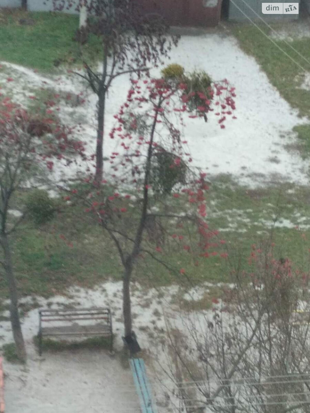 Отдельно стоящий гараж под легковое авто в Виннице, площадь 18 кв.м. фото 1