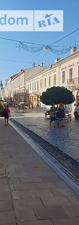 Помещение свободного назначения в Черновцах, сдам в аренду по Кобылянской Ольги (Янку Флондора) улица 18, район Центр, цена: договорная за объект фото 1 Помещение свободного назначения в Черновцах, сдам в аренду по Кобылянской Ольги (Янку Флондора) улица 18, район Центр, цена: договорная за объект фото 1
