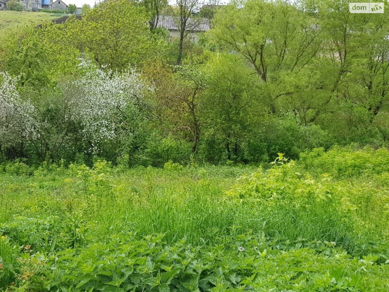 Коммерческое помещение в Черткове, цена аренды: 14 000 грн за объект фото 1