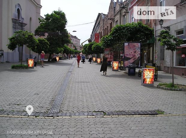 Помещение свободного назначения в Ужгороде, сдам в аренду по Волошина улица, район Центр, цена: 17 000 грн за объект фото 2 Помещение свободного назначения в Ужгороде, сдам в аренду по Волошина улица, район Центр, цена: 17 000 грн за объект фото 2