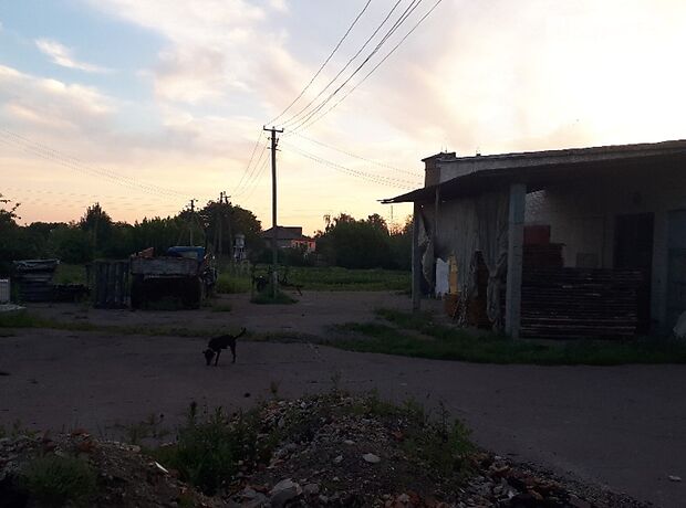 Производственное помещение в Житомире, сдам в аренду по Центральна, в селе Мирополь, цена: 10 000 грн за объект фото 1 Производственное помещение в Житомире, сдам в аренду по Центральна, в селе Мирополь, цена: 10 000 грн за объект фото 1