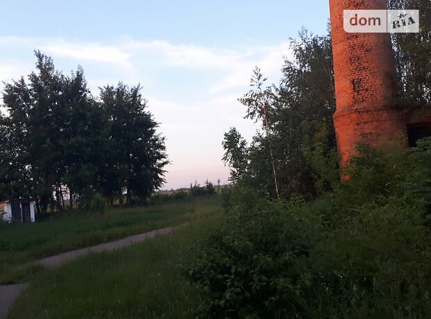 Производственное помещение в Житомире, сдам в аренду по Центральна, в селе Мирополь, цена: 10 000 грн за объект фото 1 Производственное помещение в Житомире, сдам в аренду по Центральна, в селе Мирополь, цена: 10 000 грн за объект фото 1