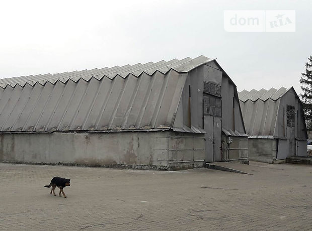 Коммерческое помещение в Луцке, Єршова, цена аренды: 30 грн за объект фото 1