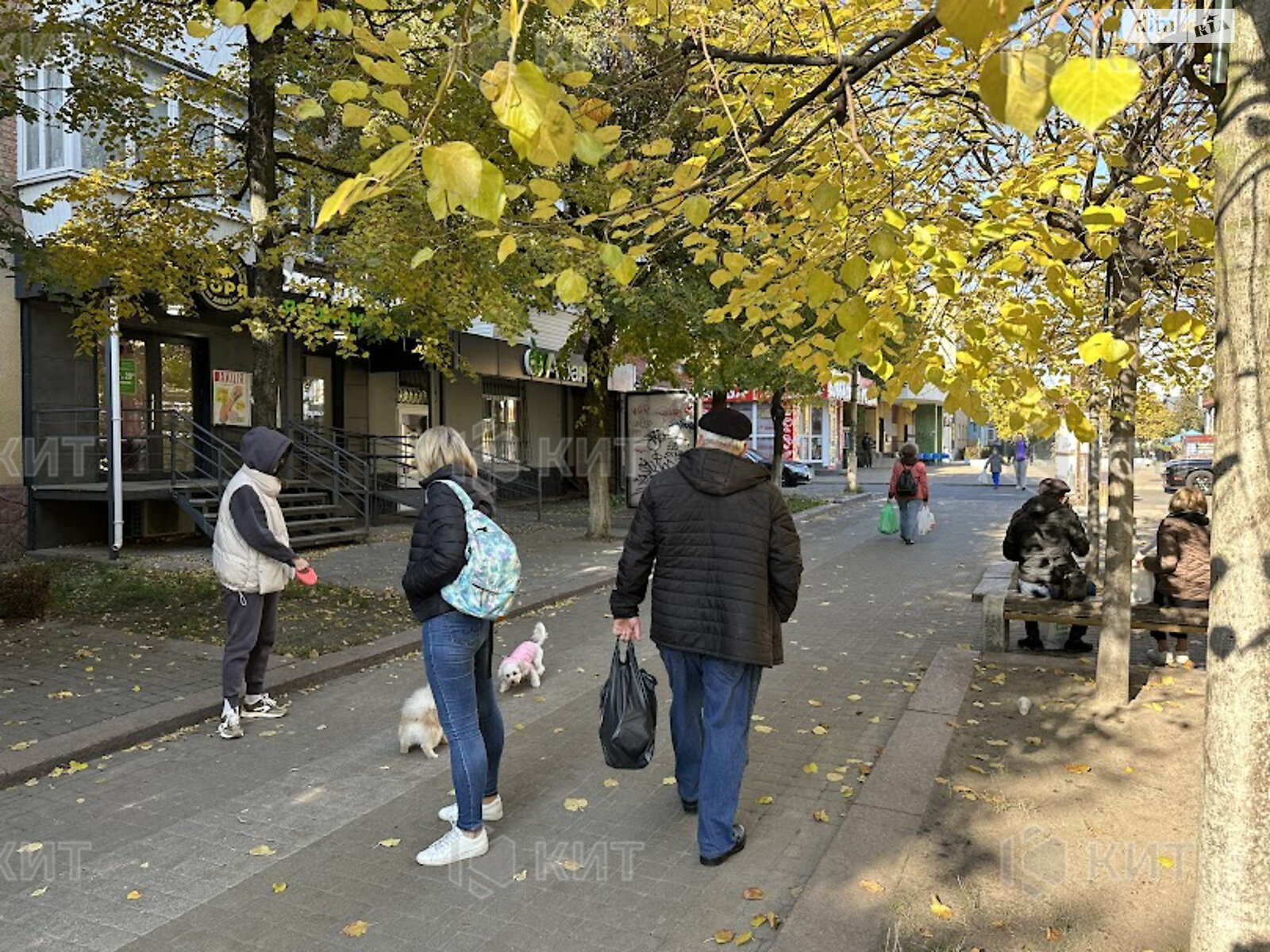 Спеціальне приміщення в Бучі, Героїв Майдану вулиця, ціна оренди: 50 000 грн за об’єкт фото 1