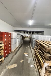 Специальное помещение в Хмельницком, сдам в аренду по Симона Петлюры (Куприна) проезд 4, район Дубово, цена: 100 000 грн за объект фото 2