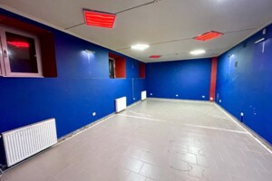 Спеціальне приміщення в Львові, здам в оренду по Богдана Котика вулиця, район Цетнерівка, ціна: 20 975 грн за об’єкт фото 2