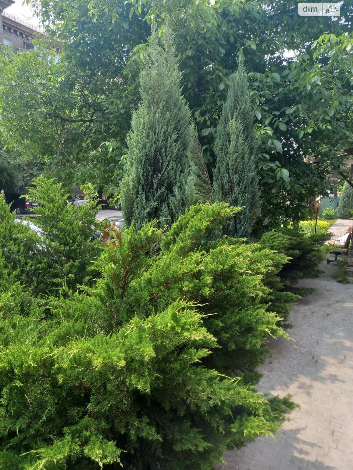 Специальное помещение в Запорожье, сдам в аренду по Перша Ливарна Червоногвардійська вул., район Александровский (Жовтневый), цена: 12 000 грн за объект фото 1