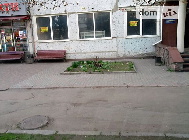 Торговая площадь в Житомире, сдам в аренду по Киевская улица, район Центр, цена: 53 000 грн за объект фото 1 Торговая площадь в Житомире, сдам в аренду по Киевская улица, район Центр, цена: 53 000 грн за объект фото 1