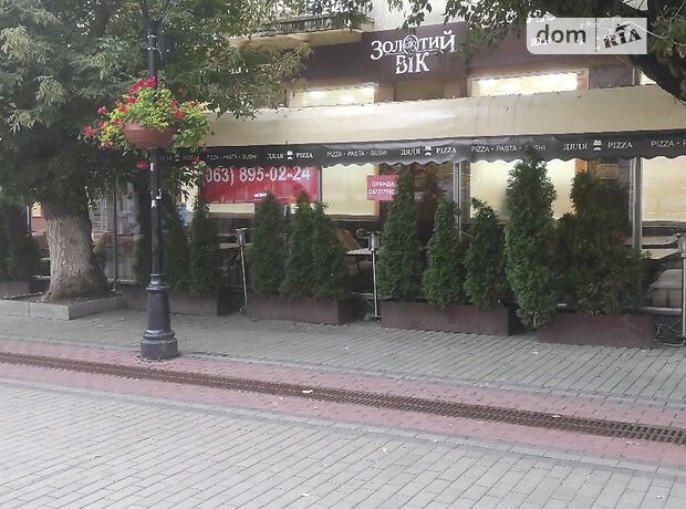 Торговая площадь в Луцке, сдам в аренду по Леси Украинки улица, район Центр, цена: 45 000 грн за объект фото 1 Торговая площадь в Луцке, сдам в аренду по Леси Украинки улица, район Центр, цена: 45 000 грн за объект фото 1