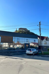 Специальное помещение в Мукачеве, сдам в аренду по Паланок площадь, район Мукачево, цена: 8 414 грн за объект фото 2