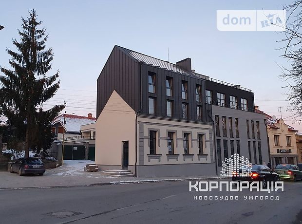 Торговая площадь в Ужгороде, сдам в аренду по Подгорная улица, район Центр, цена: 42 135 грн за объект фото 1 Торговая площадь в Ужгороде, сдам в аренду по Подгорная улица, район Центр, цена: 42 135 грн за объект фото 1