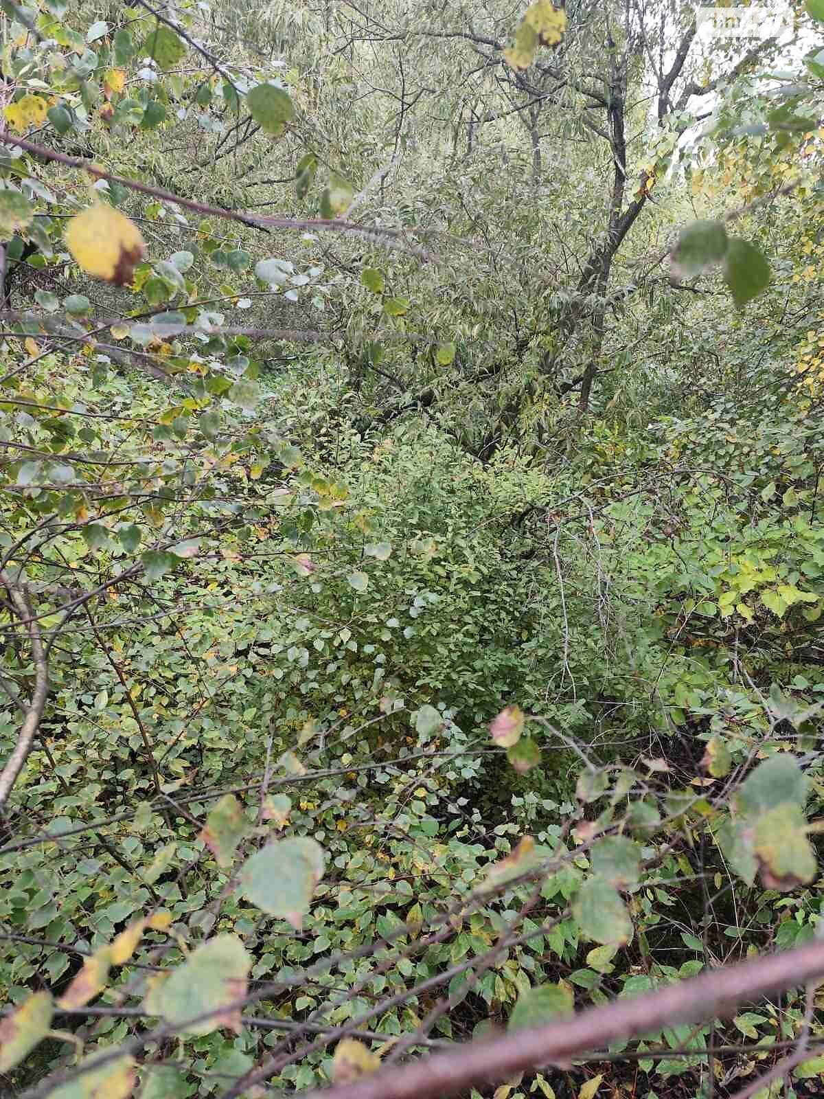 Оренда ділянки під житлову забудову в Долині, ціна: 43 438 грн за об’єкт фото 1 Оренда ділянки під житлову забудову в Долині, ціна: 43 438 грн за об’єкт фото 1