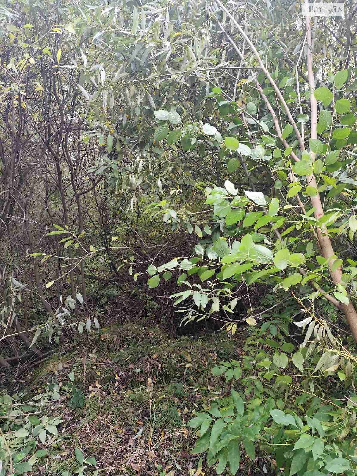 Оренда ділянки під житлову забудову в Долині, ціна: 43 438 грн за об’єкт фото 1 Оренда ділянки під житлову забудову в Долині, ціна: 43 438 грн за об’єкт фото 1