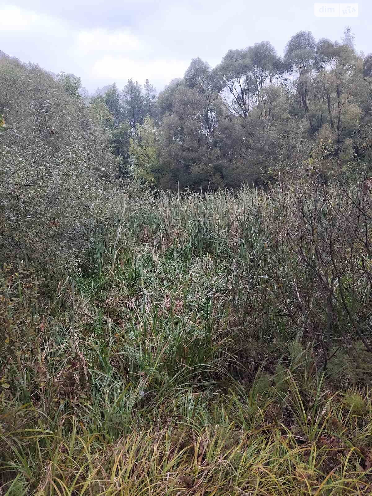 Оренда ділянки під житлову забудову в Долині, ціна: 43 438 грн за об’єкт фото 1 Оренда ділянки під житлову забудову в Долині, ціна: 43 438 грн за об’єкт фото 1