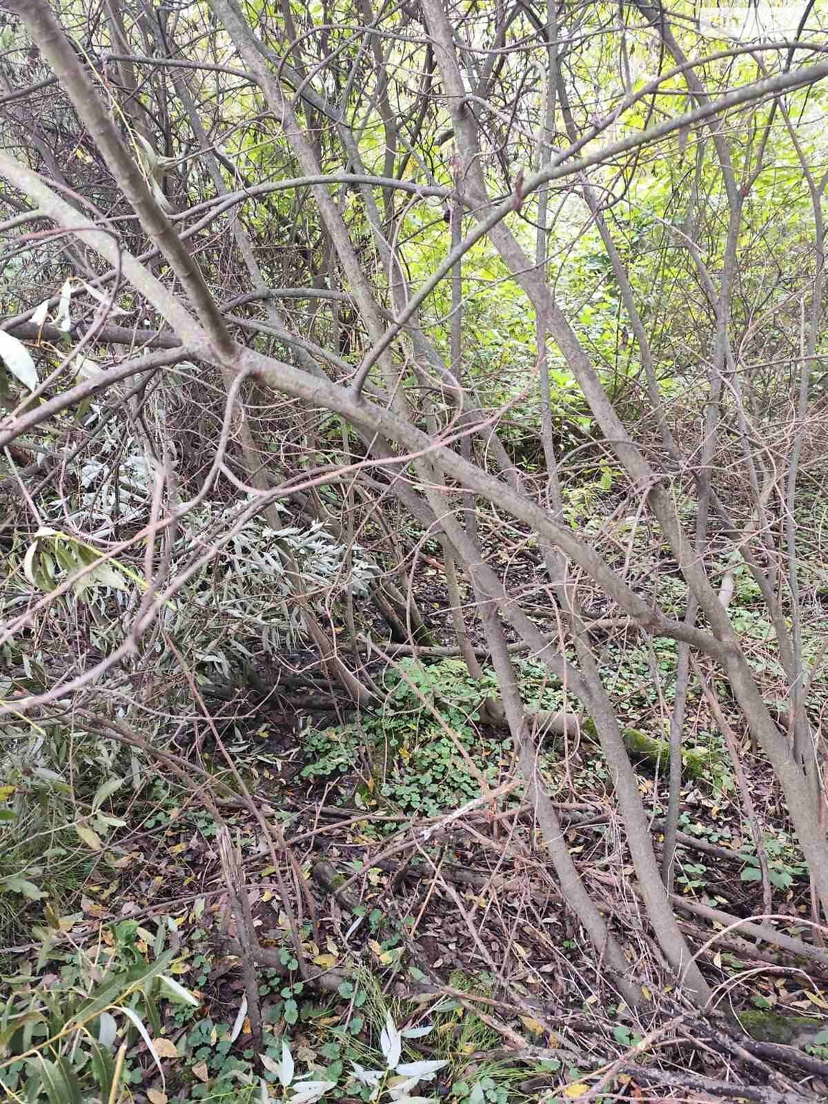 Оренда ділянки під житлову забудову в Долині, ціна: 43 438 грн за об’єкт фото 1 Оренда ділянки під житлову забудову в Долині, ціна: 43 438 грн за об’єкт фото 1