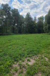 Аренда участка под жилую застройку в Жаботине, цена: 2 559 грн за объект фото 2