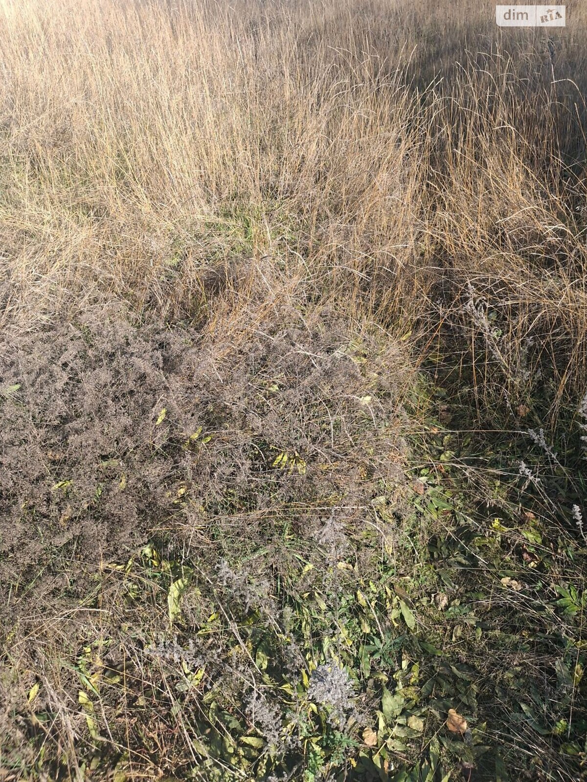 Аренда участка под жилую застройку в Кагарлыке, цена: 3 717 грн за объект фото 1